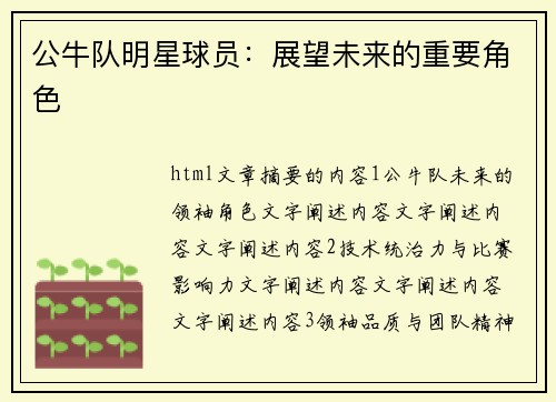 公牛队明星球员：展望未来的重要角色